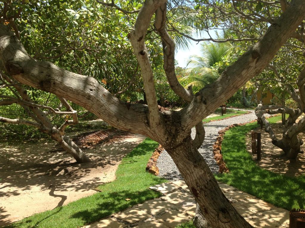 Jardim Cambui Itacimirim